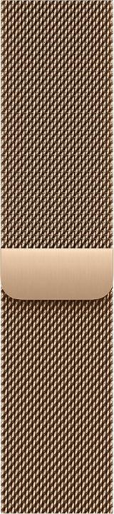 Image du produit Apple Boucle milanaise (Acier inoxydable)