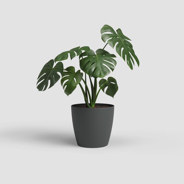 Image du produit Artevasi San Remo Pot Matte (30 x 35 x 27.30 cm)