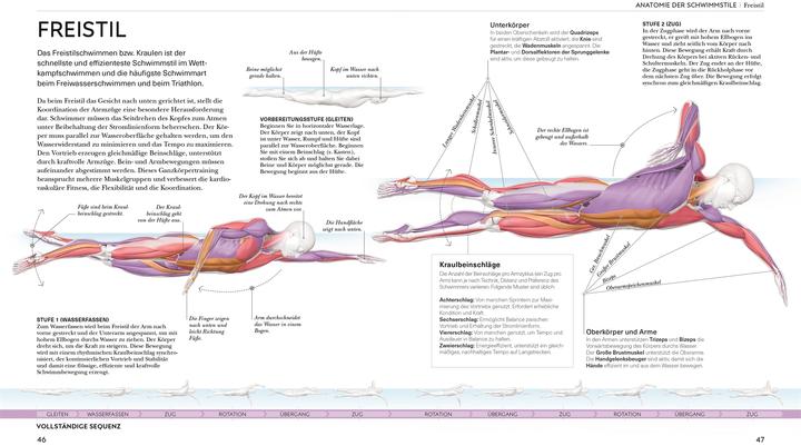 Produktbild Schwimmen - Die Anatomie verstehen (Deutsch, Anke Wellner-Kempf, Brett Hawke, 2025)