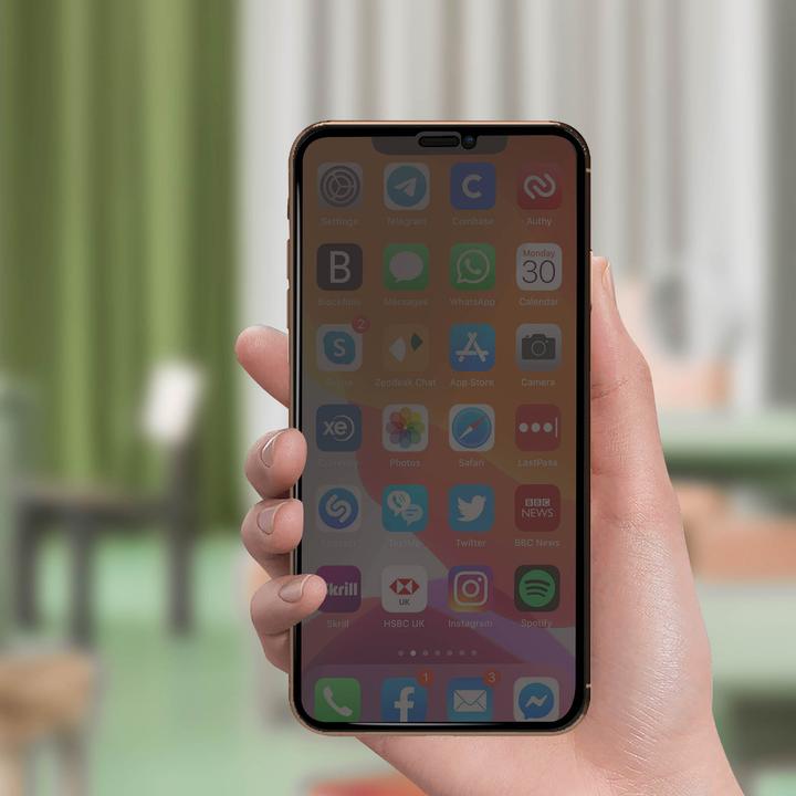 Actual product image Avizar Privacy glass screen protector (1 pcs., Apple iPhone 11 Pro Max)