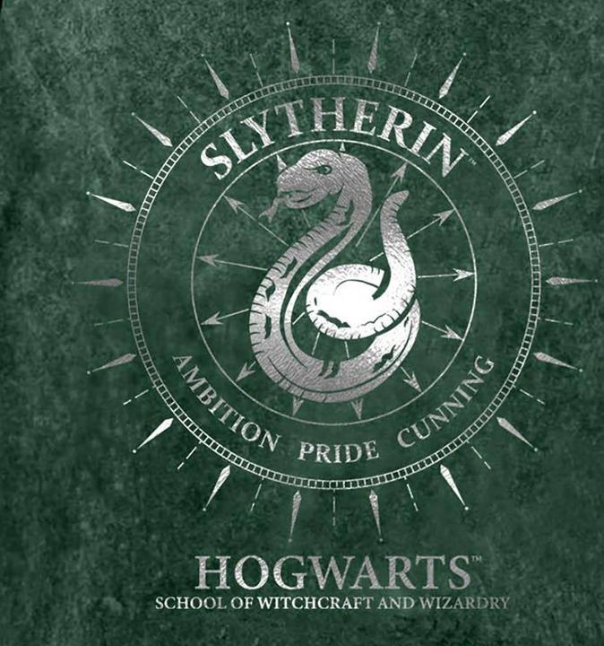 Produktbild Slytherin Constellations TShirt (L)