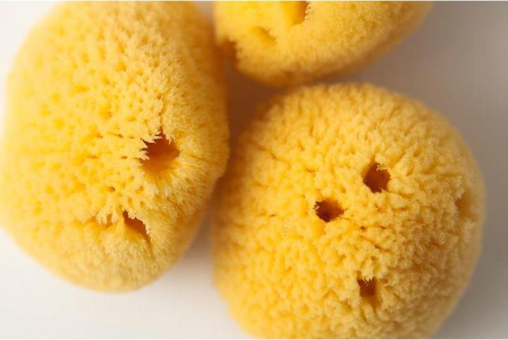 Actual product image Grünspecht Natural sponge Zimocca
