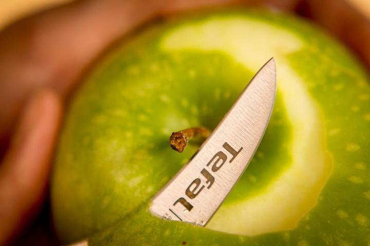 Produktbild Tefal Ingenio Ice Force Schälmesser (7 cm)