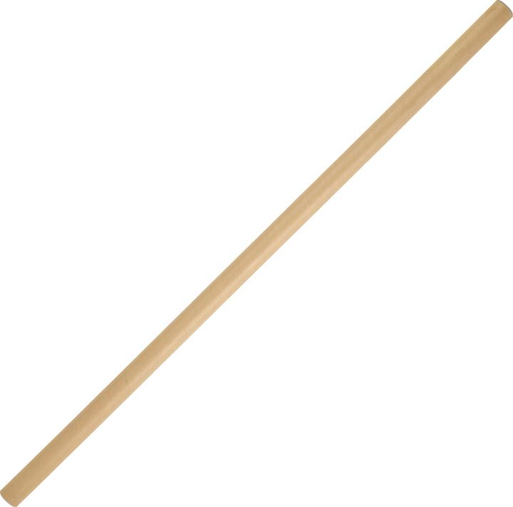Produktbild Caperlan Rutenspitze jedes Niveau (390 cm)