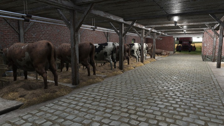 Actual product image Bigben Farmer's Dynasty (Xbox One X, Xbox Series X, Multilingual)