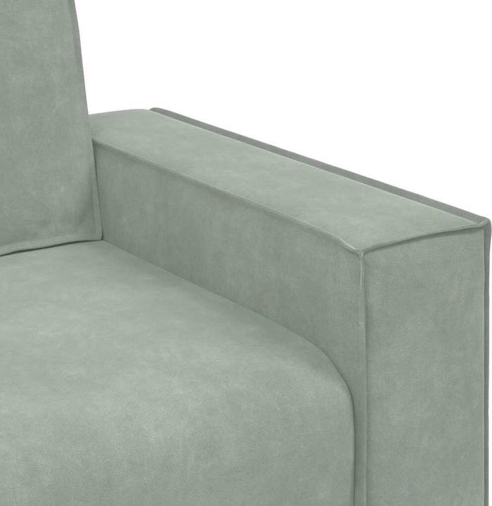 Actual product image vidaXL 2-Sitzer-Sofa (2 person sofa)