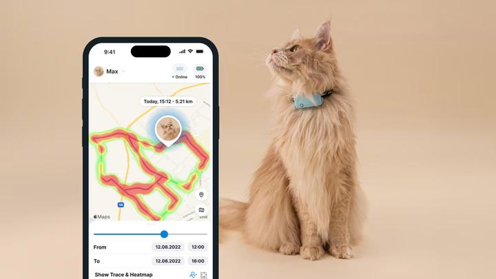 Immagine prodotto Tractive GPS Mini (Taglia unica, Gatto, Generale)
