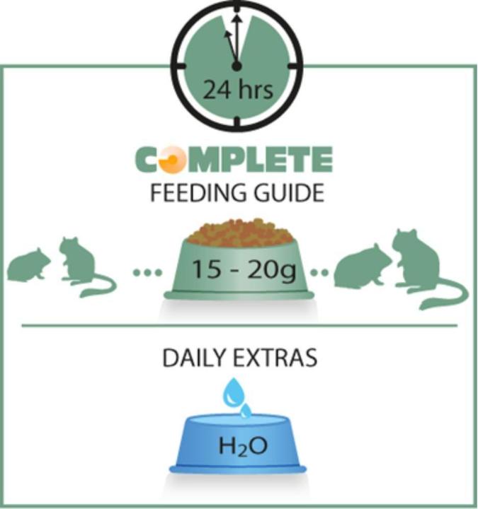 Produktbild Versele Laga Versele-Laga Hamster & Gerbil Complete,500 g (0.50 kg)