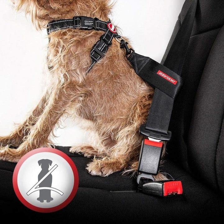 Produktbild EzyDog Hundegeschirr mit Sicherheitsgurt (XS, Hund, Allgemein)