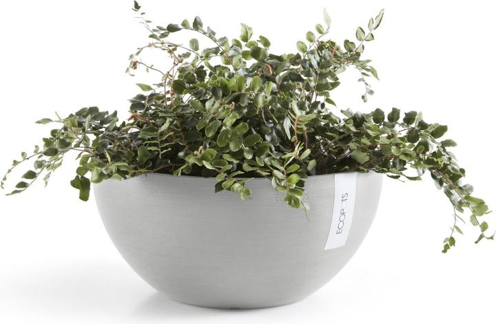 Produktbild Ecopots Brussels (25 cm)