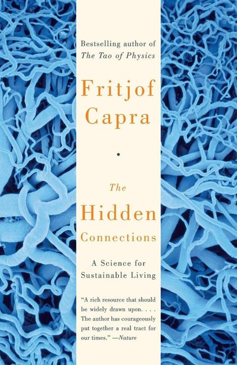 Produktbild The Hidden Connections (Englisch, Fritjof Capra, 2004)