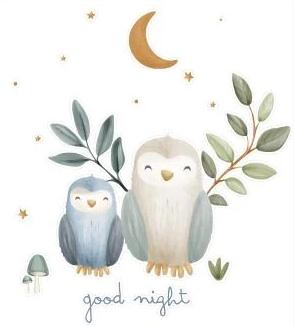 Little Dutch Wandaufkleber Gute Nacht (45 x 40 cm)