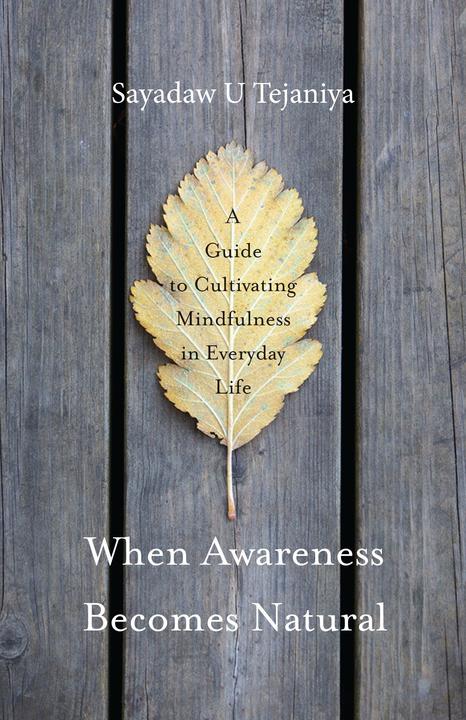 Produktbild When Awareness Becomes Natural (Englisch, Sayadaw U Tejaniya, 2016)