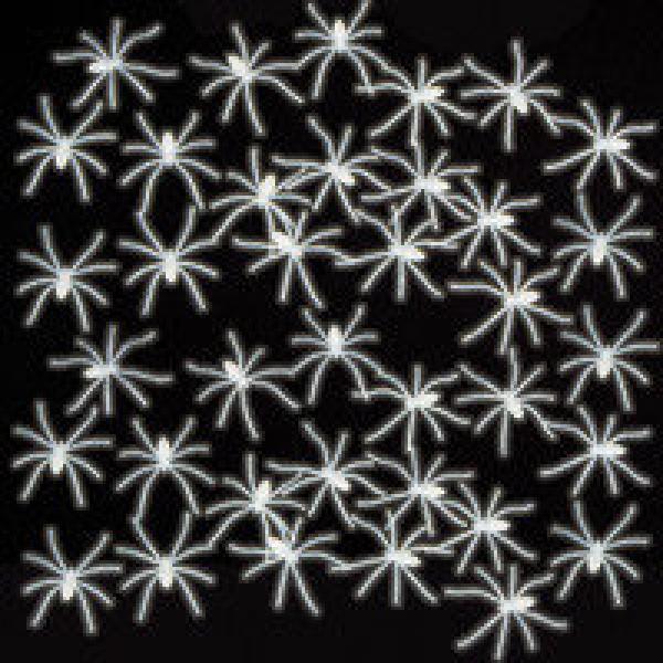 Actual product image Körner Spiders Halloween decoration 24 pieces Glow in the Dark (24 Piece)