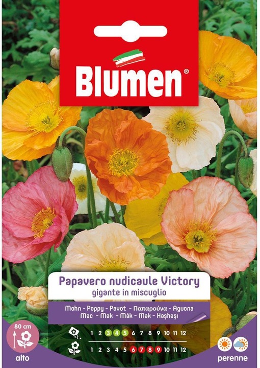 Immagine prodotto Blumen Semi di papavero Victory Mix (Semi di fiori)