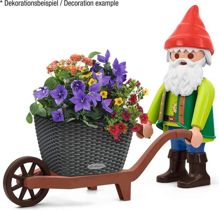 Actual product image Lechuza Wheelbarrow.