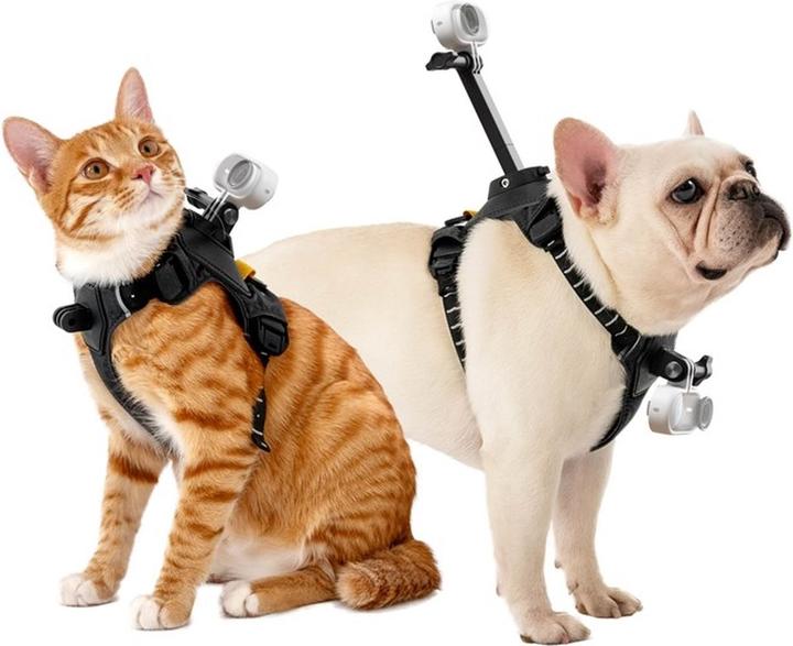 Actual product image Insta360 Pet Harness Mount