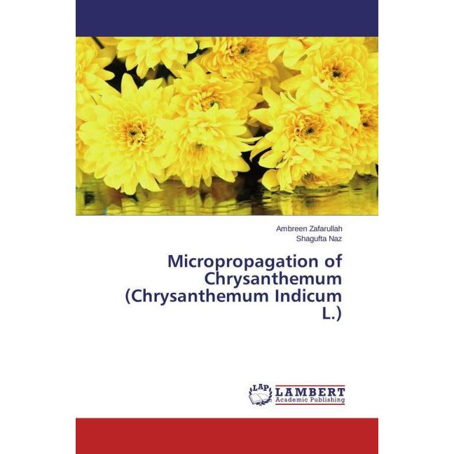 Micropropagation of Chrysanthemum (Chrysanthemum Indicum L.), Ratgeber von Shagufta Naz, Ambreen Zafarullah