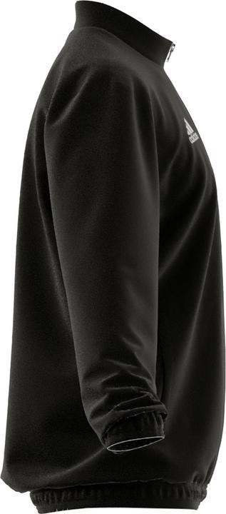 Actual product image adidas Entrada 22 presentation jacket men (L)