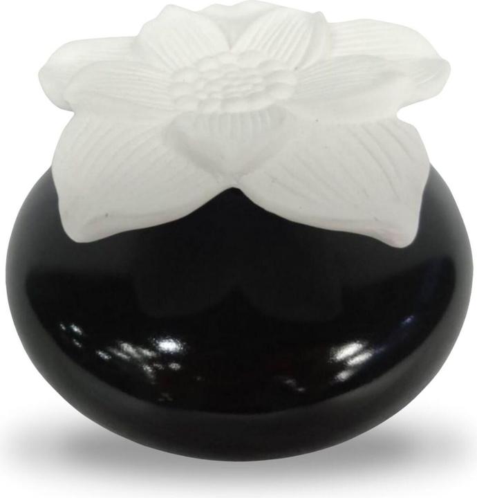 Produktbild Zen Arôme Kapillar-Diffusor mit Gipsblume Diffuser für ätherische Öle oder Raumdüfte Aromatherapie N (140 ml)