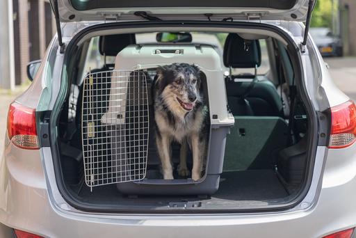 Actual product image Karlie Nomad (Cat, Dog, Lockable)