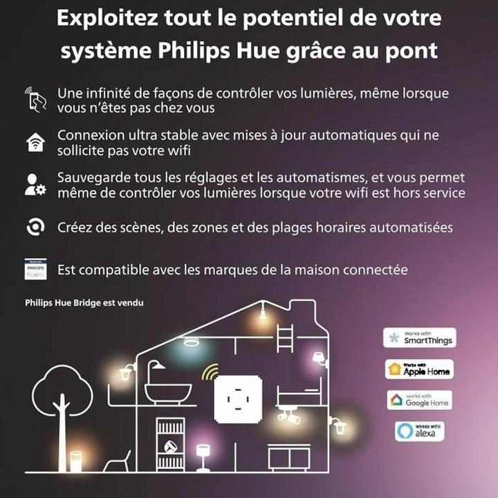 Actual product image Philips Hue Secure Camera Mount with Ground Spike (Mounting kit)