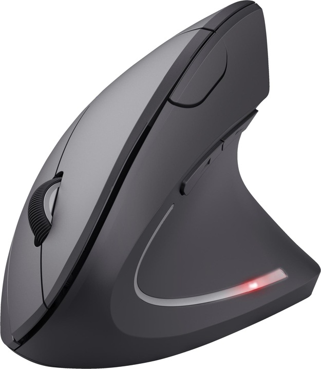 Maus