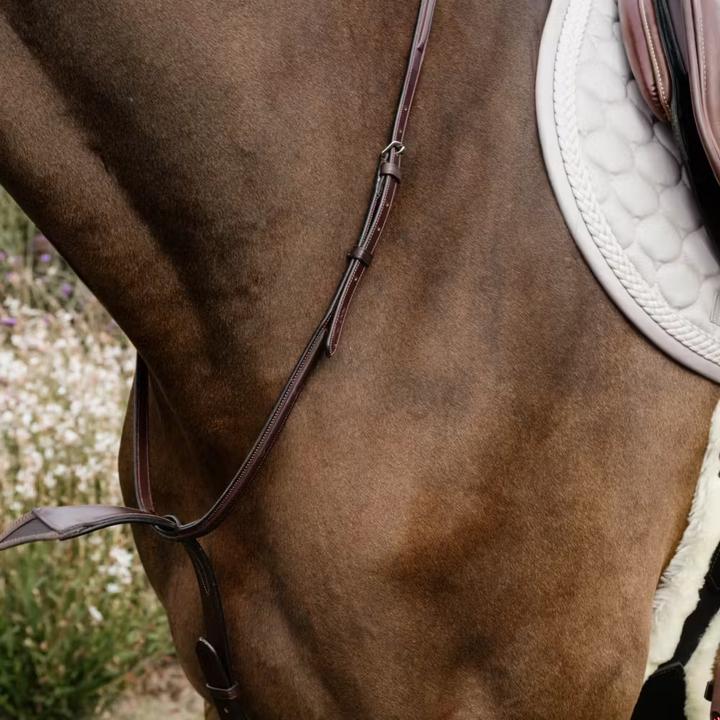 Image du produit Dy'on NE coll