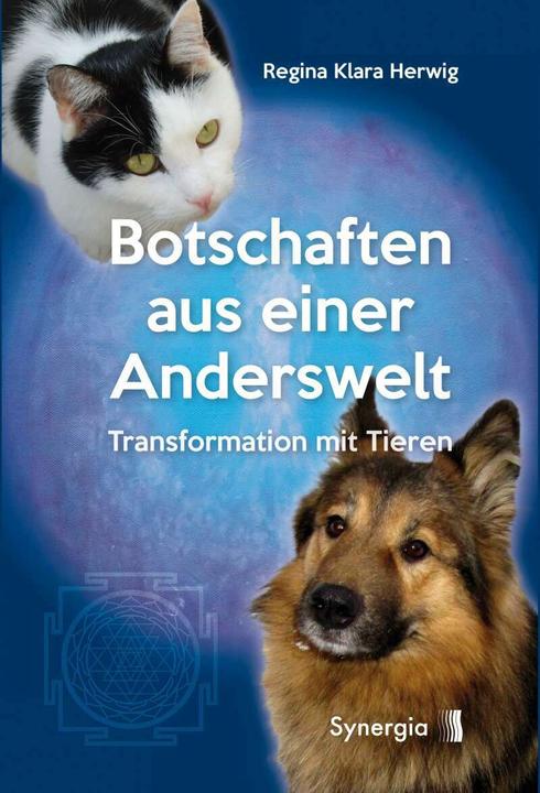 Produktbild Botschaften aus einer Anderswelt (Deutsch, Regina Klara Herwig, 2018)