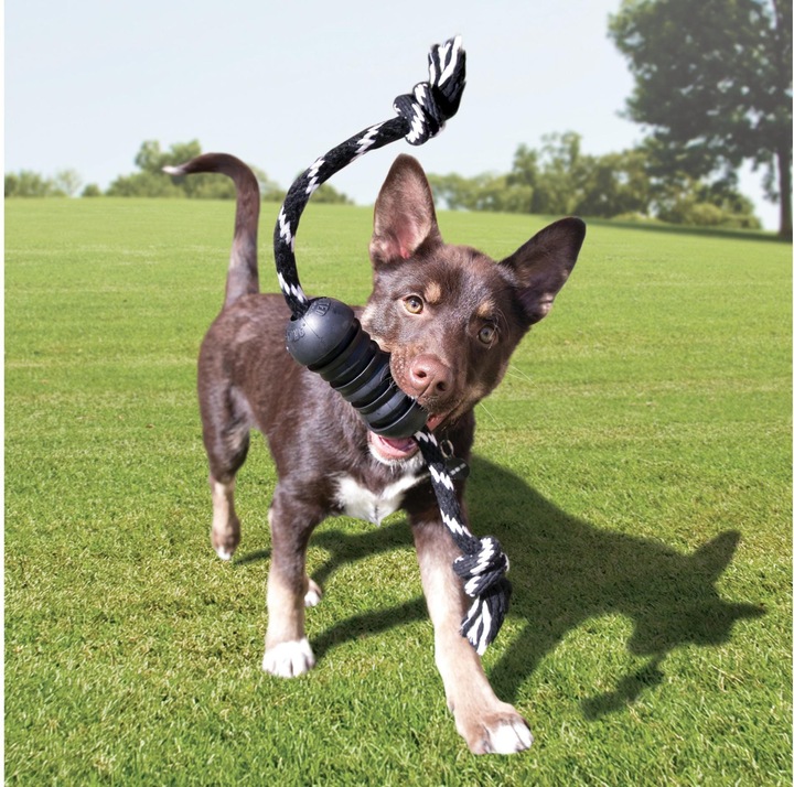 Image du produit KONG Jouet pour chien Extreme Dental Rope noir M (5x12) (Jouet à mâcher pour chien)