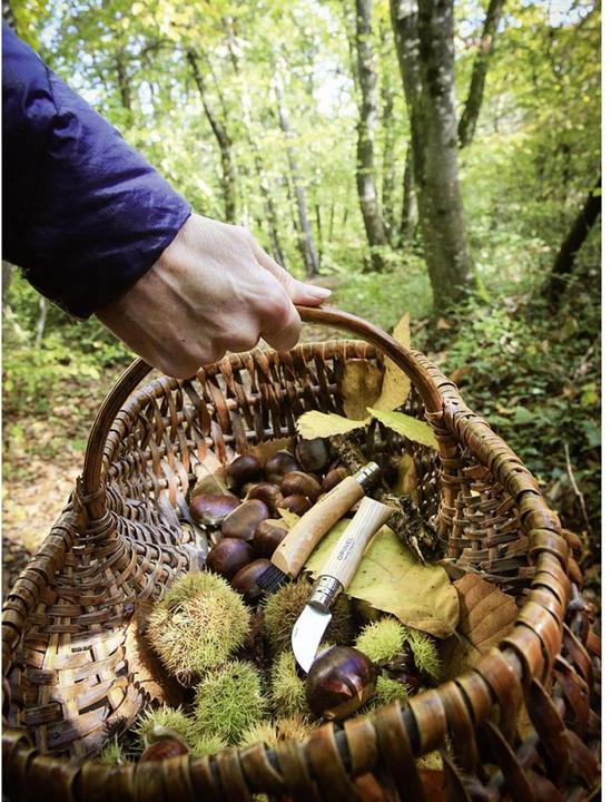 Actual product image Opinel Chestnut knife (4 cm)