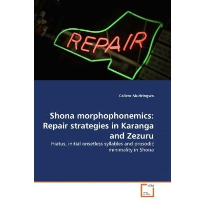 Shona morphophonemics: Repair strategies in Karanga and Zezuru, Fachbücher