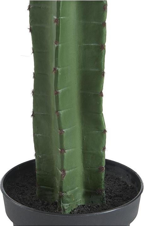 Immagine prodotto Ozaia Guada (145 cm)