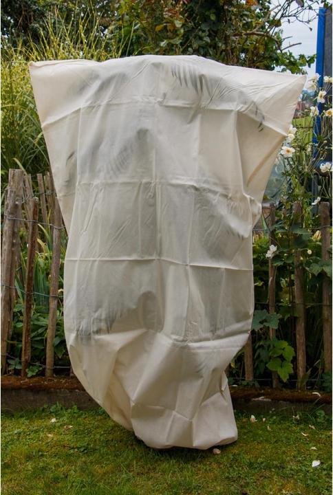 Image du produit Colibri Capuche d'hiver XL