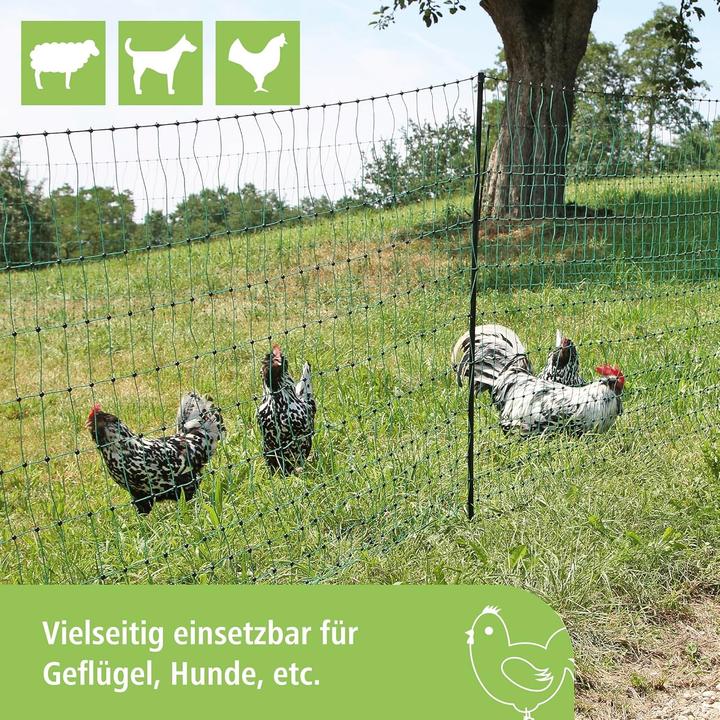 Produktbild Kerbl Geflügelnetz