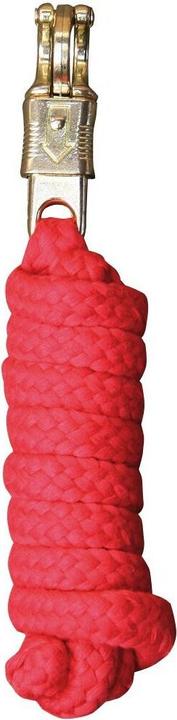 Rot