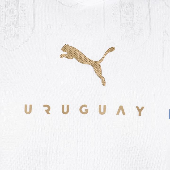 Produktbild Puma Uruguay Trikot Away Copa América 2021 Herren (M)