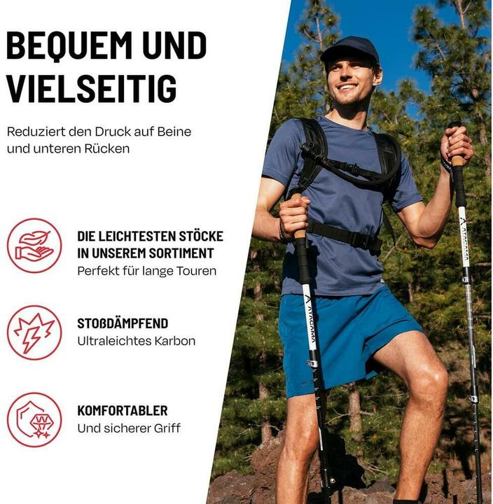 Produktbild Atacama Teleskop Wanderstöcke 13-tlg. 110-135 cm (110 - 135 cm)
