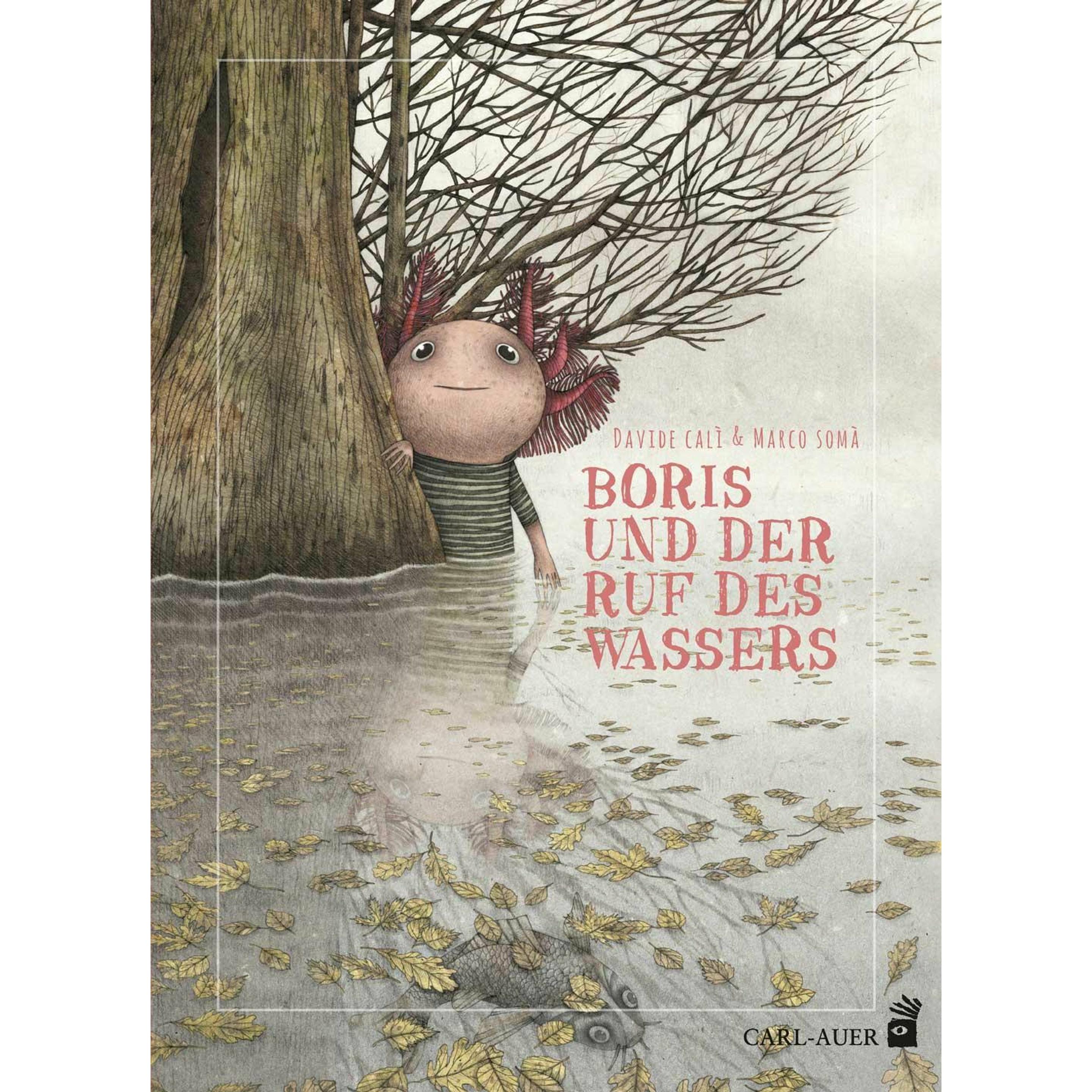 Boris und der Ruf des Wassers, Kinderbücher von Marco Soma, Davide Calì