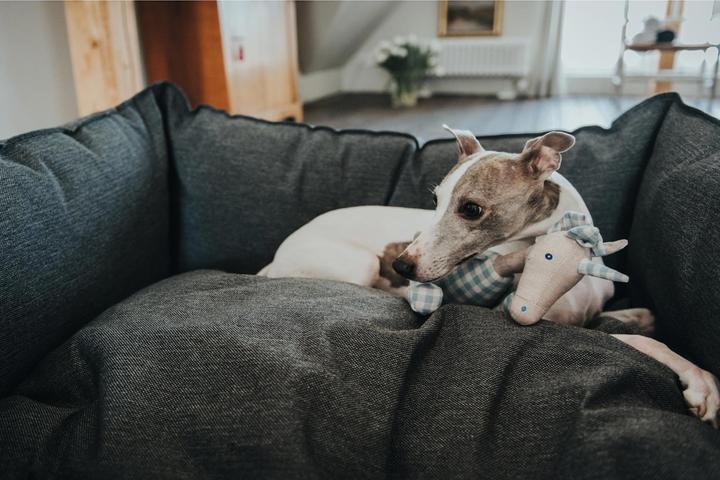 Actual product image Hunter Dog sofa Livingston woven fabric (Dog)