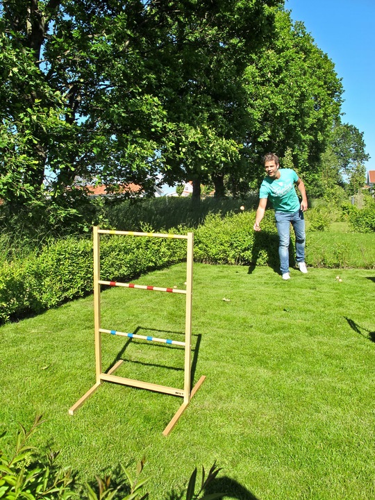 Actual product image Bex Toy Activity Game Spin Ladder