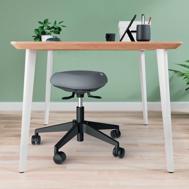 Actual product image Leitz Ergo Active