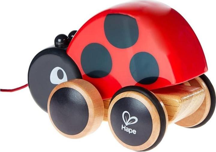 Actual product image Hape Marie