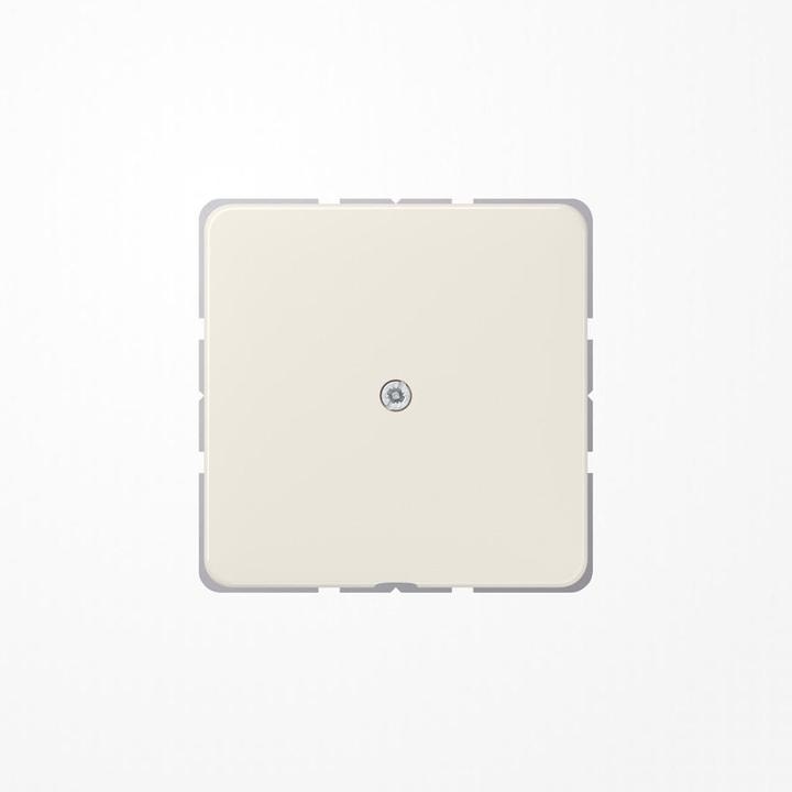 Actual product image JUNG Line outlet