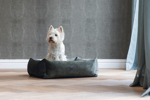 Productafbeelding Designed by Lotte Geribbeld divanbed (Hond)