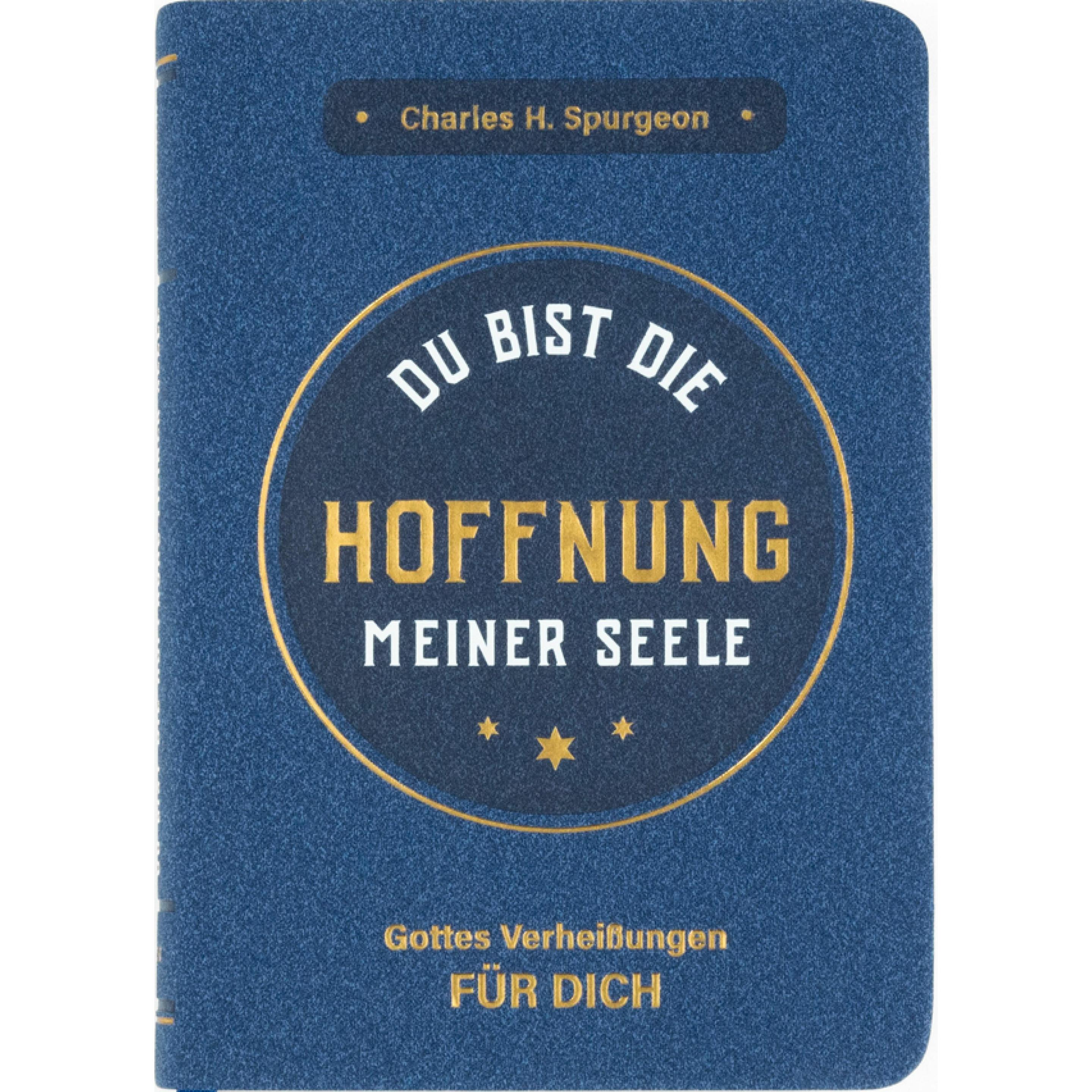 Charles Haddon Spurgeon, Fachbücher von Charles Haddon Spurgeon