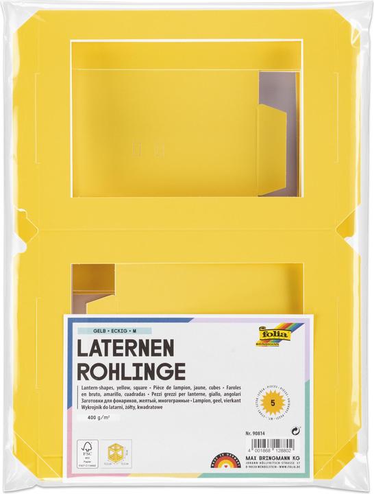 Actual product image Folia Lantern blanks