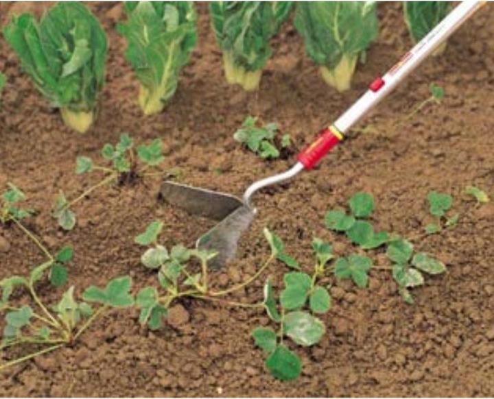 Actual product image Wolf-Garten YES-M 20 Frequenters