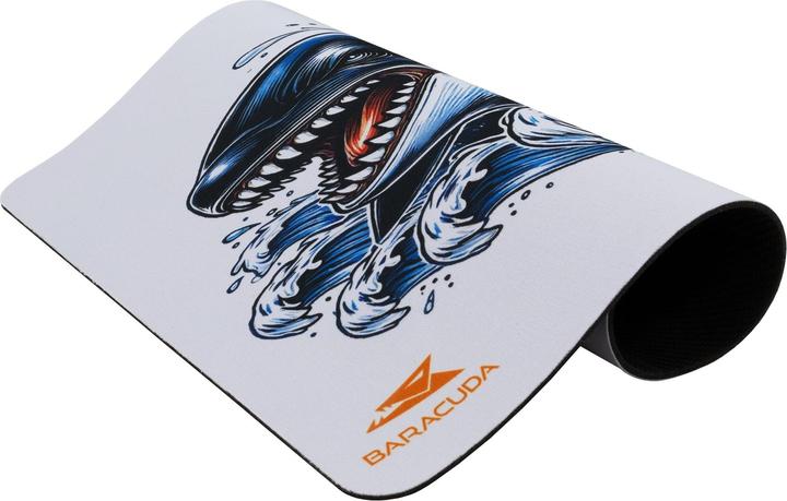 Actual product image Baracuda BGMP-071 Orca 300x250