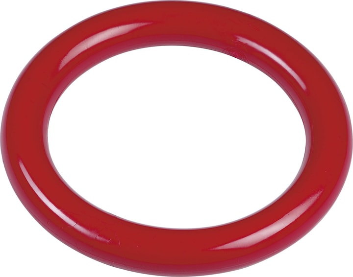 Produktbild Beco BASIC Tauchring 14cm rot